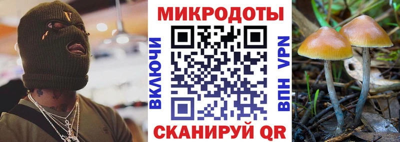 Псилоцибиновые грибы Magic Shrooms Купить Видное